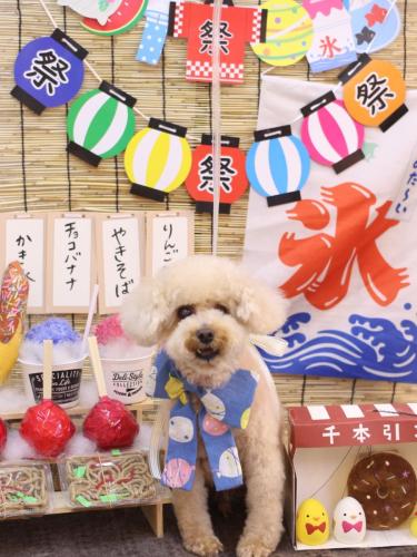 20240712クッキーくん